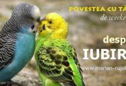 povesti cu talc despre iubire