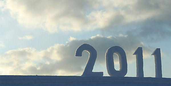 idei bune 2011