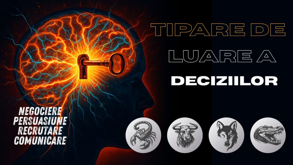 decizii
